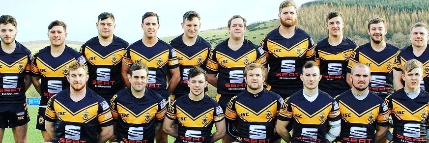 Wath Brow Hornets's banner