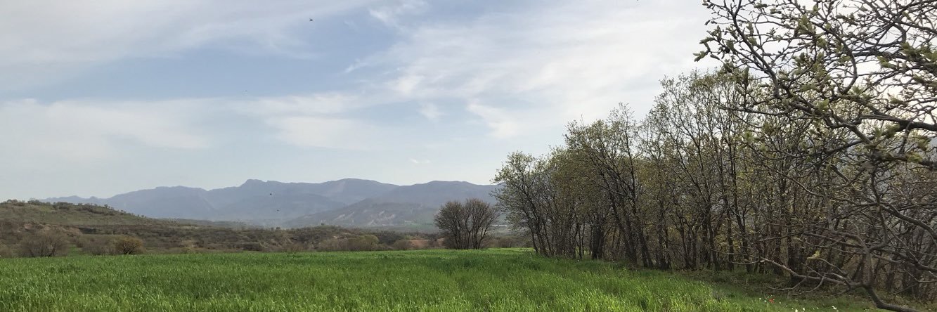 lana dara's banner