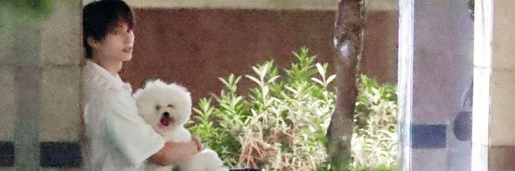 Jane😺's banner