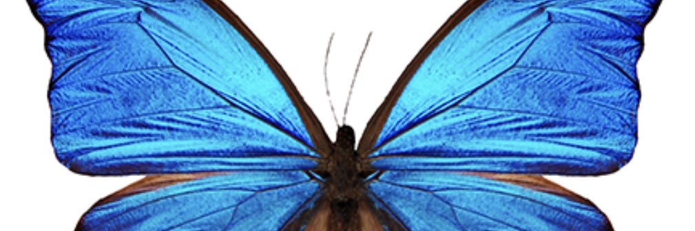 Mari Maxxed's banner