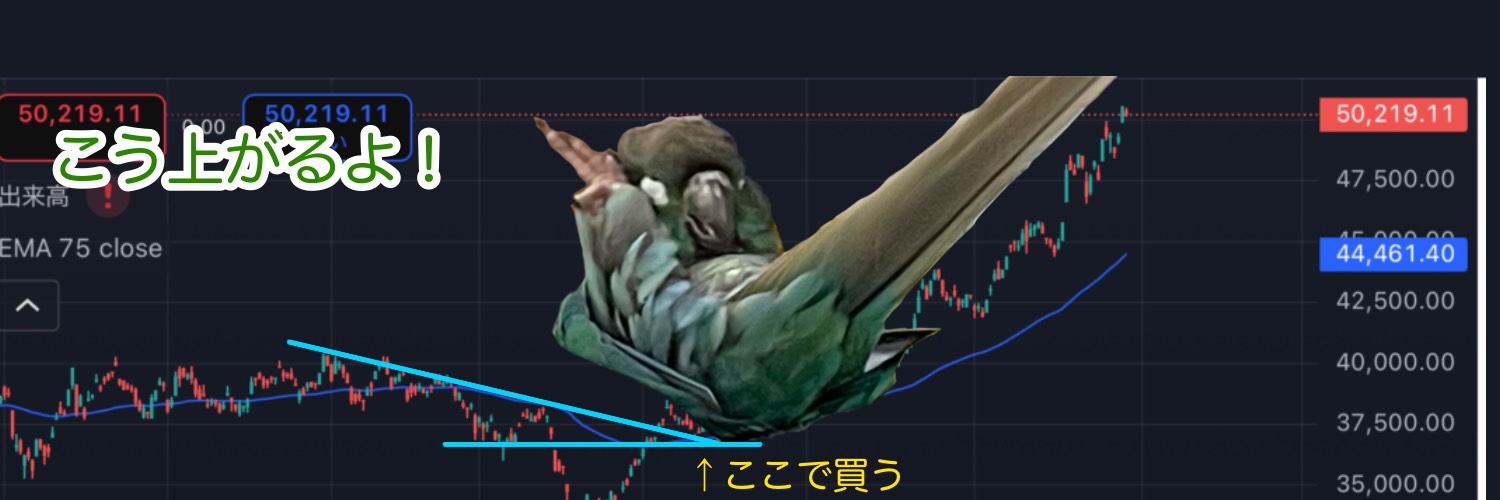 INTJ式経営者🦜ウロコインコで解説's banner