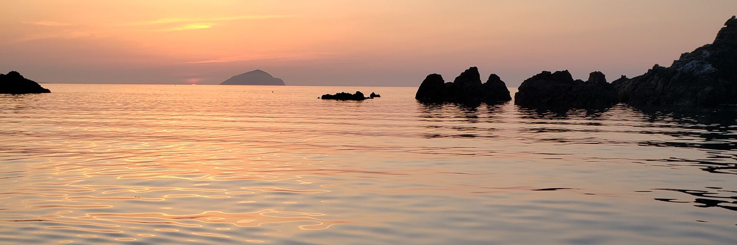 五島列島 イカ神様's banner