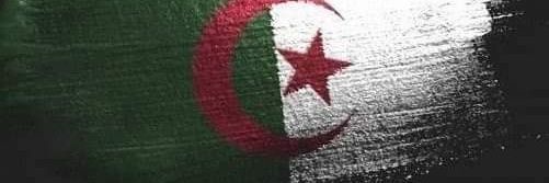محمد الجزائري 🇩🇿's banner