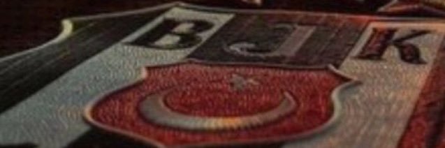 Gülçin 🖤🤍🦅's banner