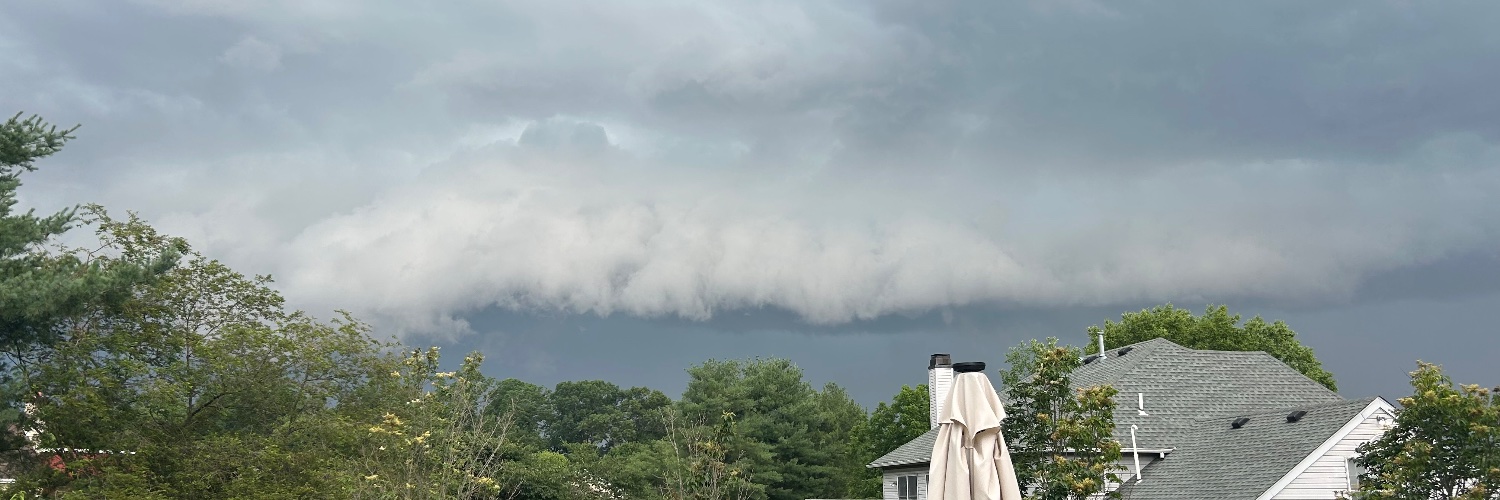 Daniella ⛈️'s banner