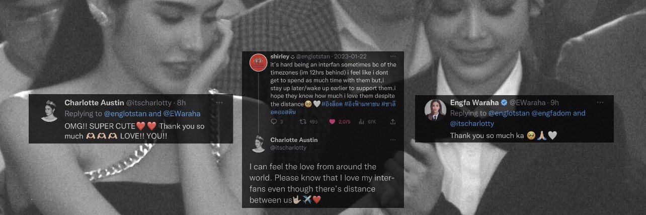 shirley ◡̈'s banner