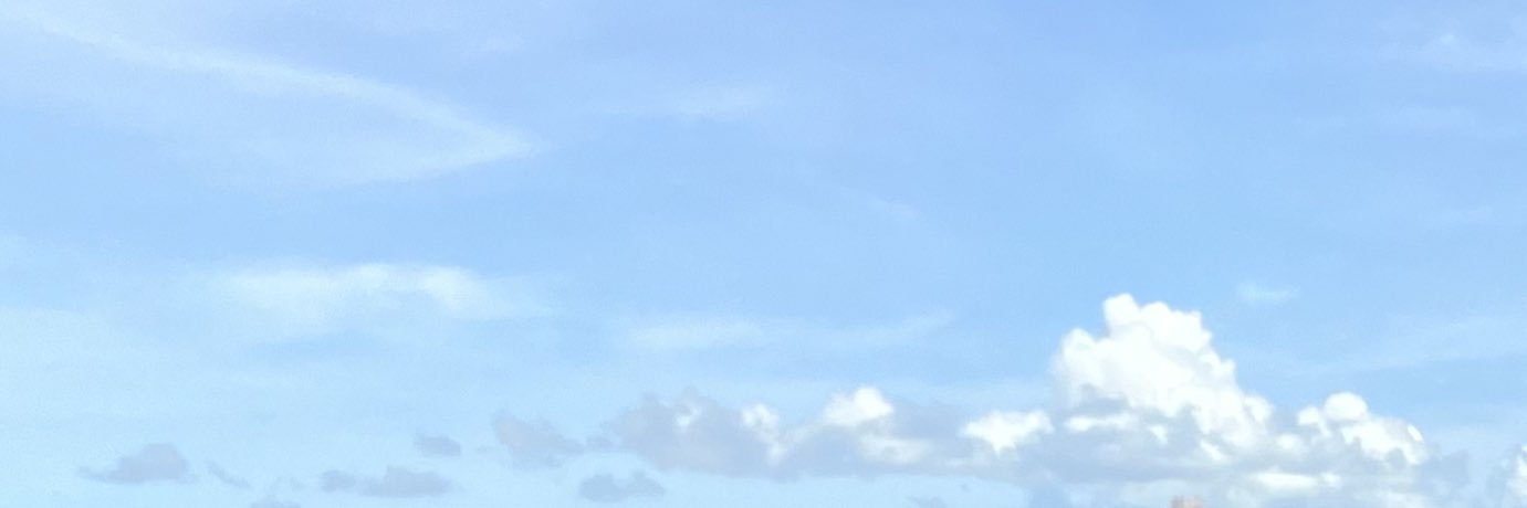 寺島季咲(きさき)'s banner