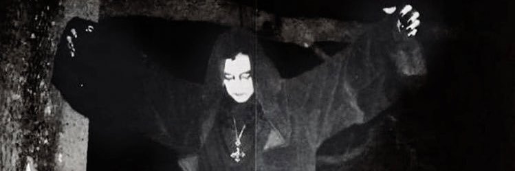 acid bath princess🦴🖤's banner