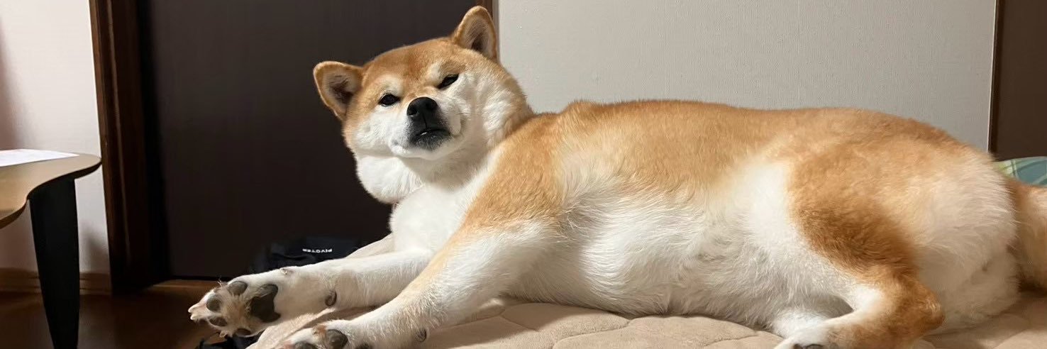 柴犬いち's banner