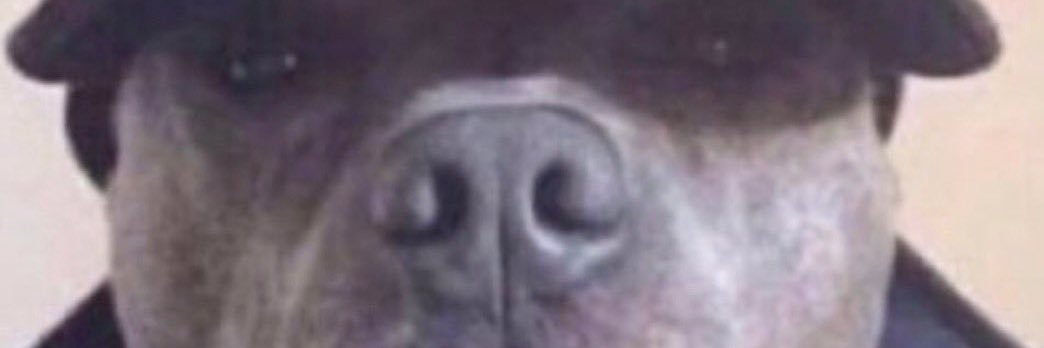 eu's banner