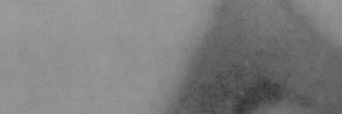 wally cocteau twins's banner