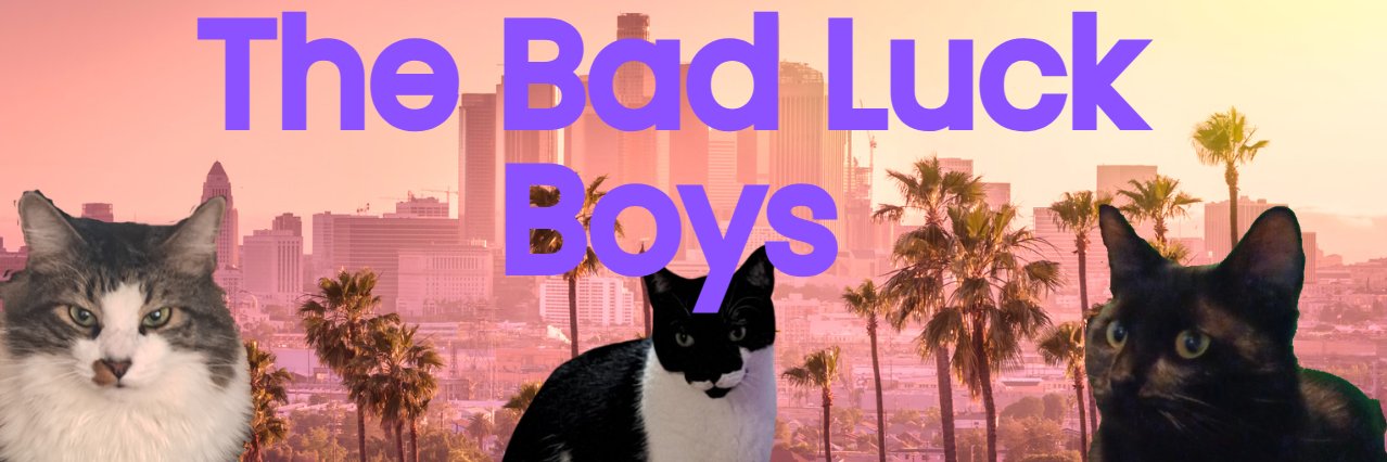 The Bad Luck Boys's banner