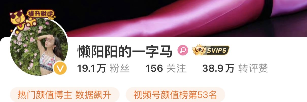 懒阳阳的一字马's banner
