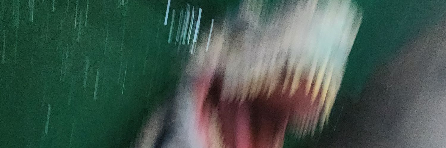 AKI_wrpNSFW🔞's banner