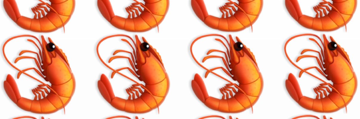 กุ้งกระเทียม 🦐 (แม่น้องปิ๊ก)'s banner