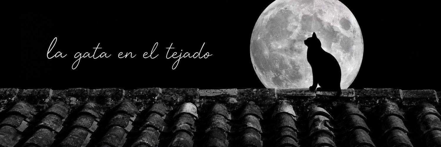 Gata en el tejado🐈‍⬛'s banner