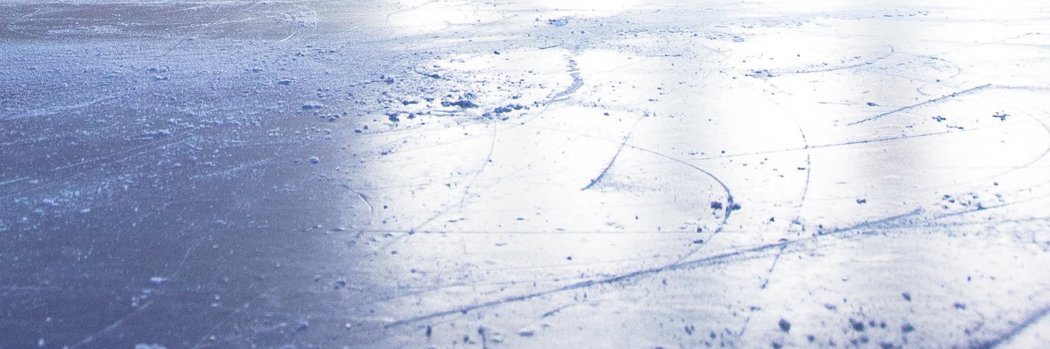 Stéphane Lambiel Fanpage's banner