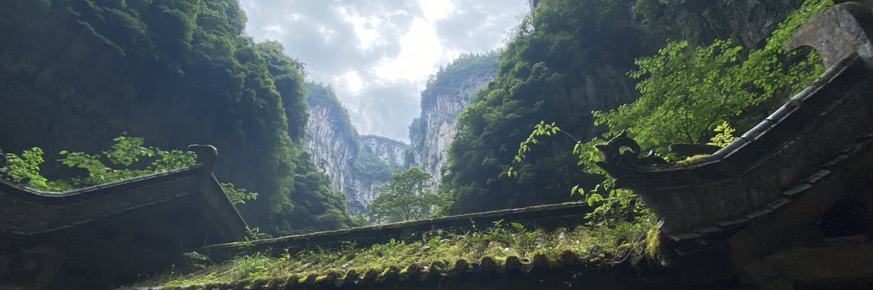暮白薇's banner