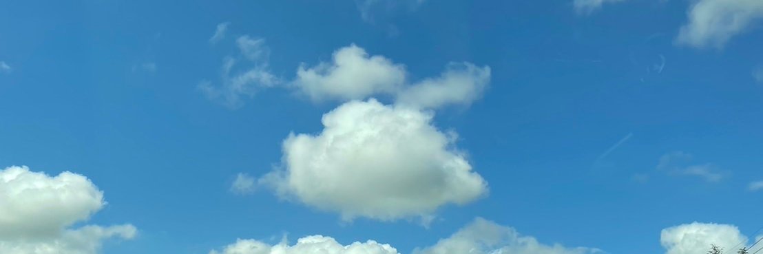 ｱﾂｱﾂ小籠包@VRC's banner