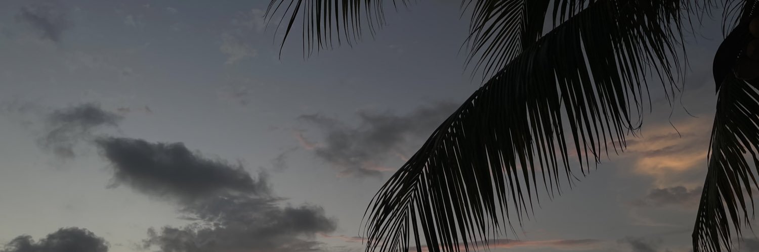 Yei's banner