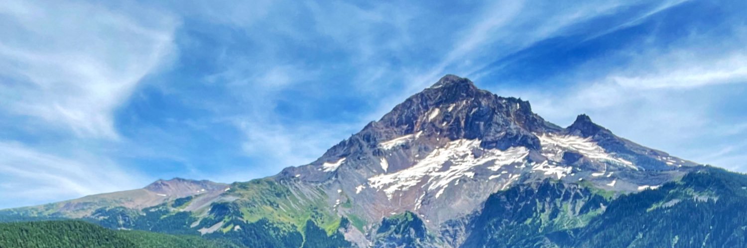 BBW Bear's banner