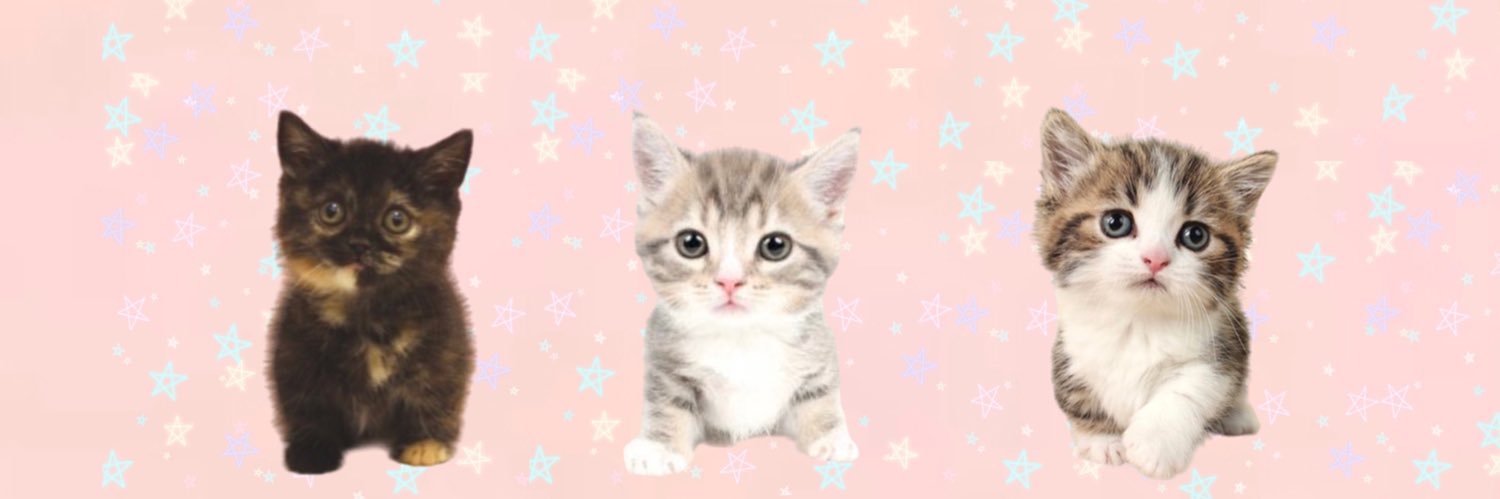 しずわらひなた's banner