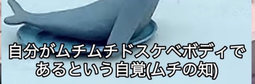 おもちたん's banner
