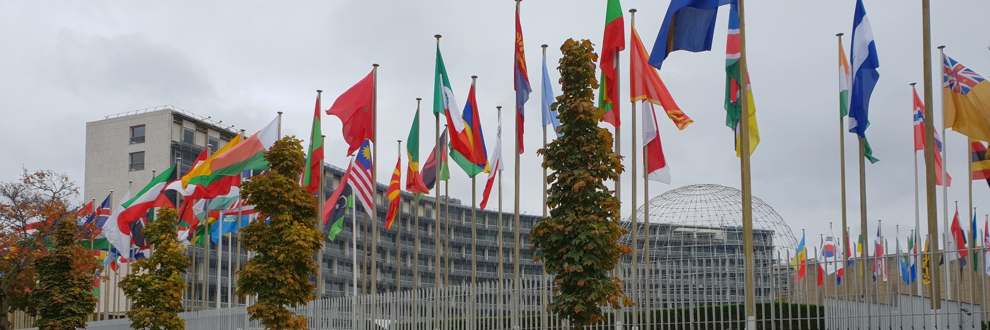 Le Maroc à l'UNESCO 🇲🇦's banner