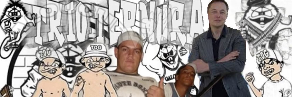 galo em baixa qualidade's banner