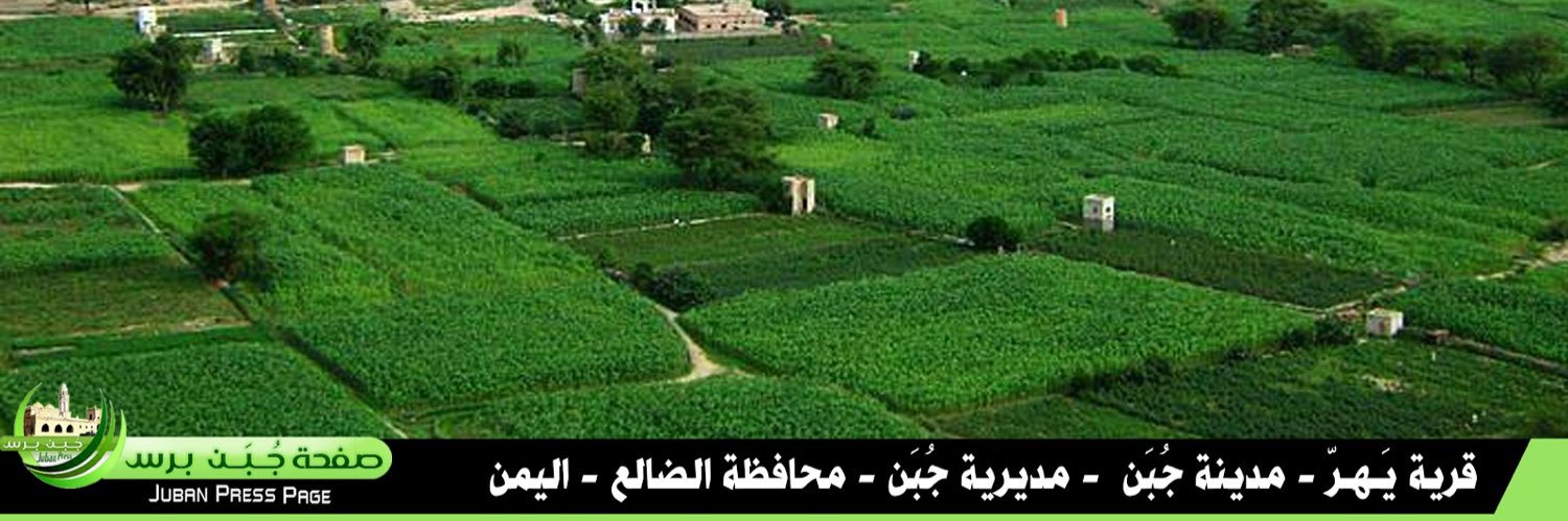 ابو شايف's banner