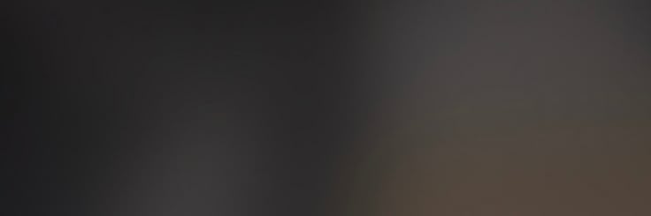 lily's banner