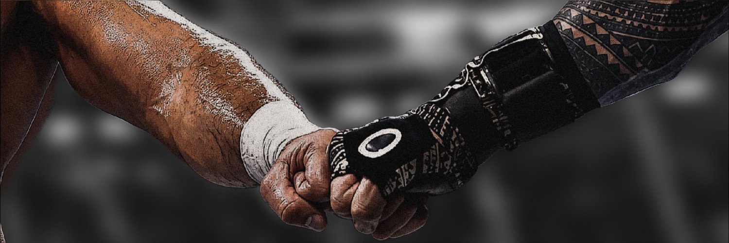 Roman's era 𓃵☝🏻's banner