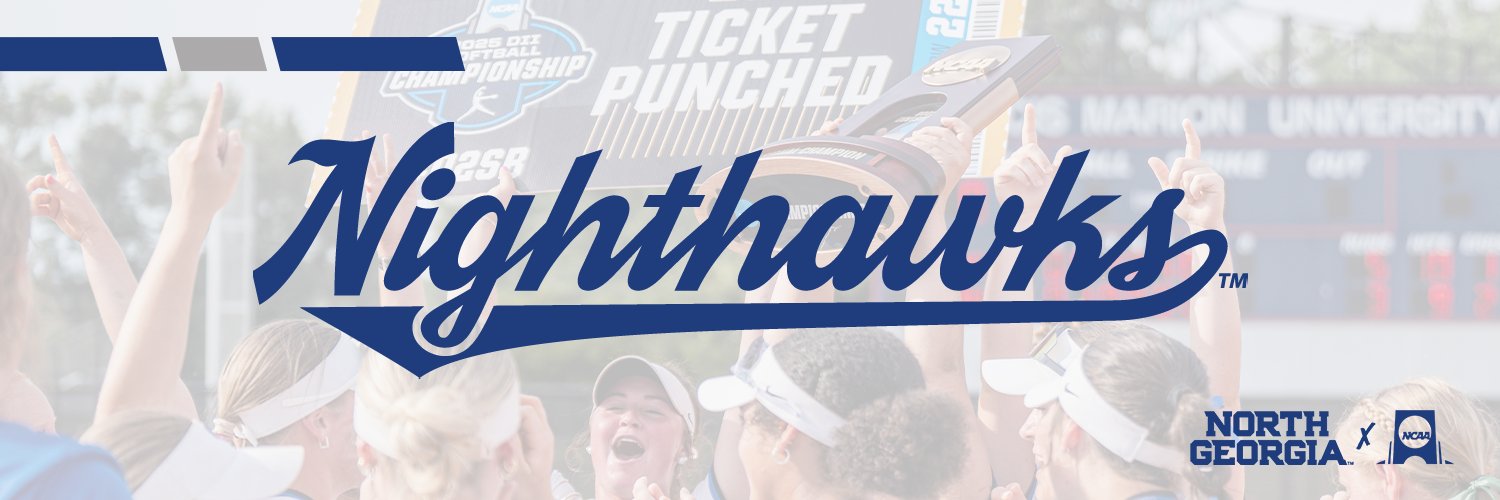 UNG Softball's banner