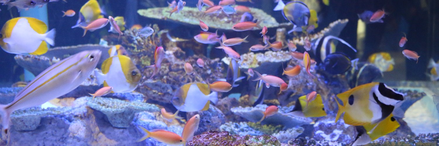 蒲郡市竹島水族館 【公式】's banner