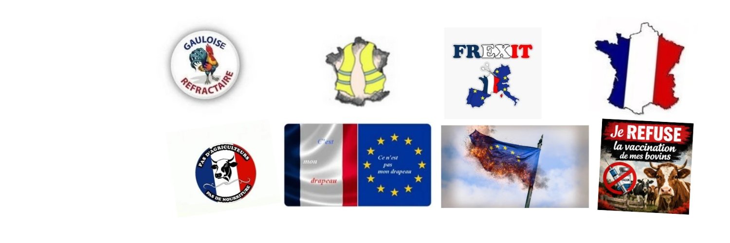 🇫🇷 Paule caurel's banner
