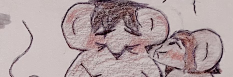🍪🎀Crumbs of shedtwt🎀🍪's banner