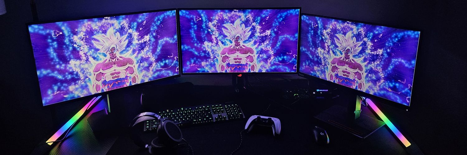Roli's banner