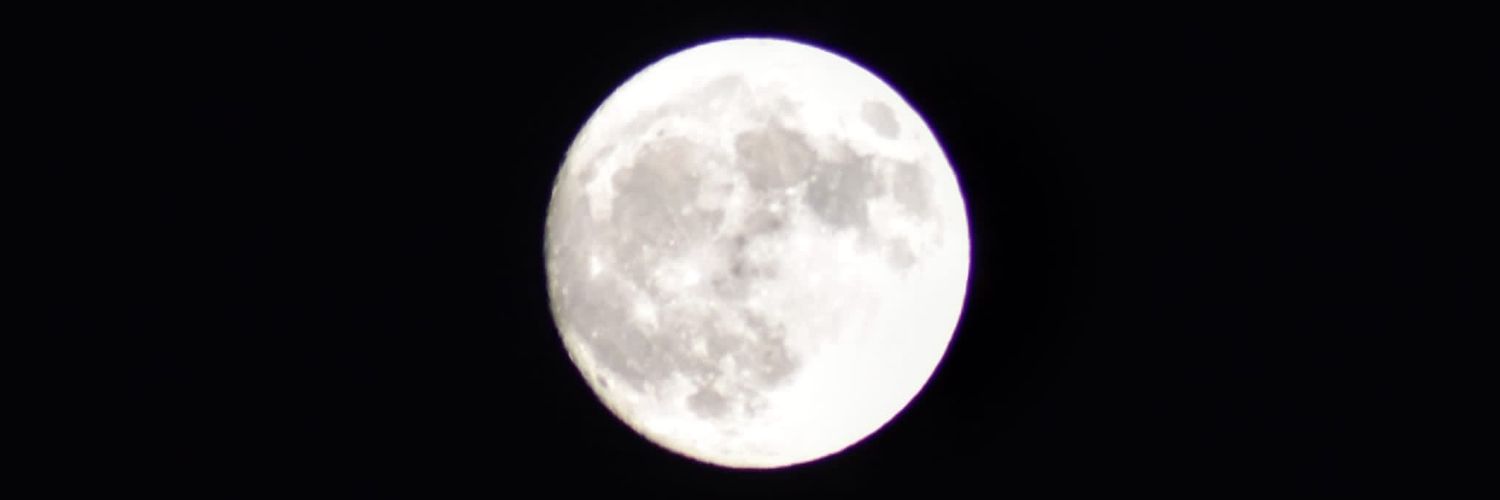 Lo que tú digas, criatura.'s banner