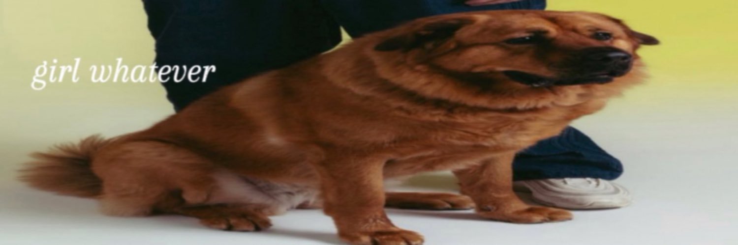 choco ꕤ's banner