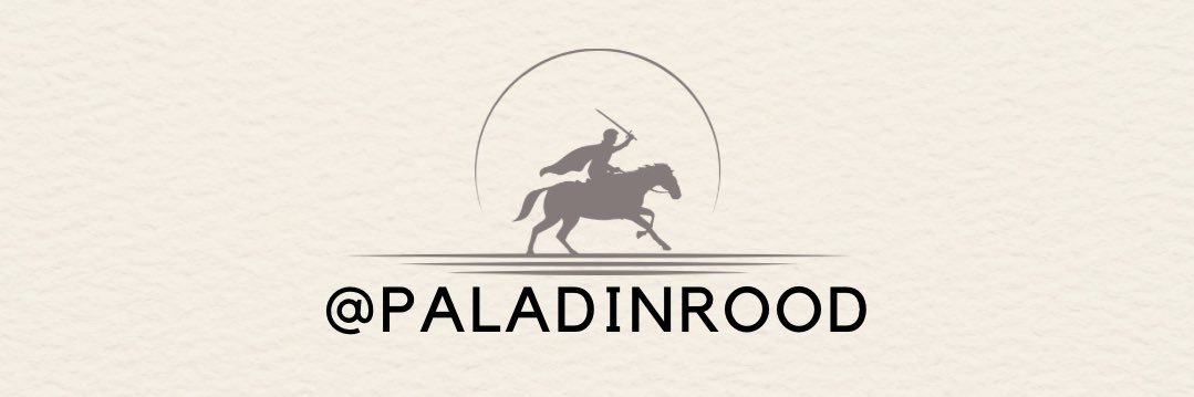 Paladin 🎖's banner