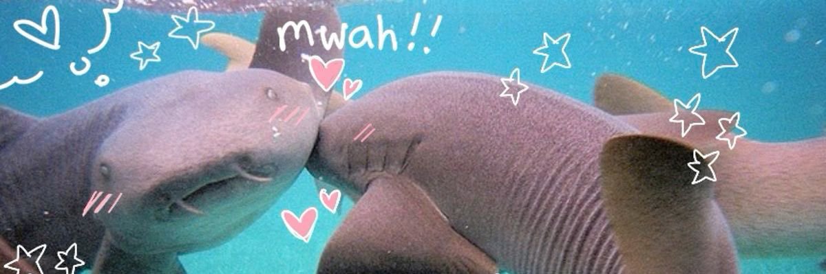 Thel the Nurse Shark's banner
