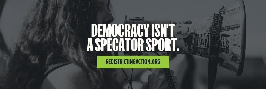 Redistricting Action's banner