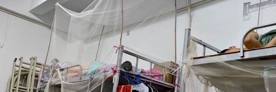 许鹏飞's banner