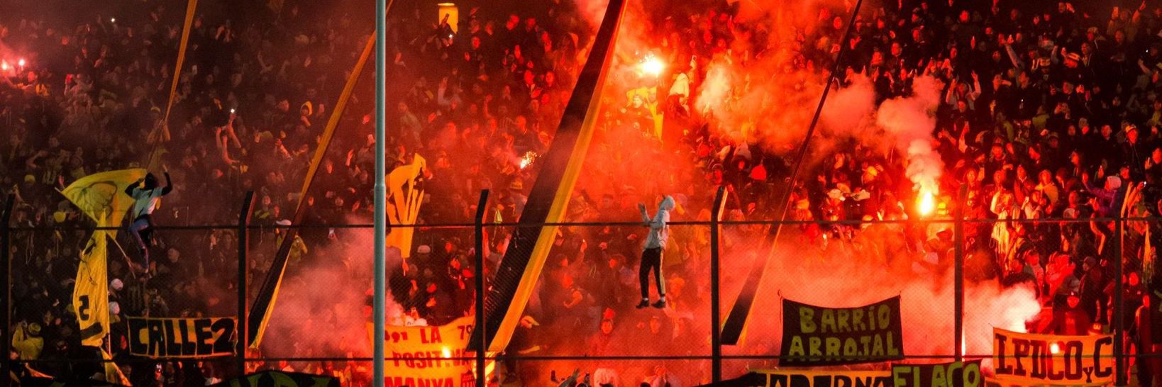LA VIDA POR PEÑAROL👊🏽's banner