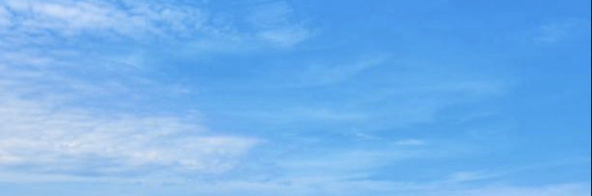 Pedrinho +18's banner