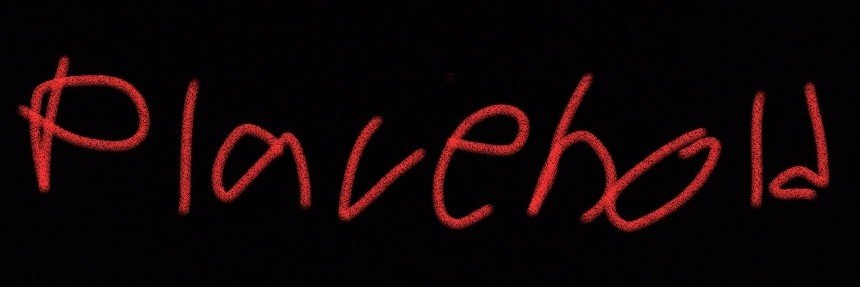 N.E.D's banner