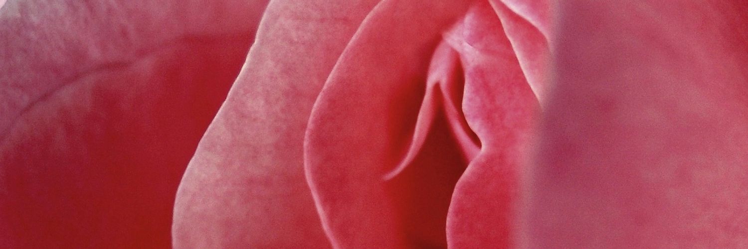 🌶MrsLexiWoods🌶's banner