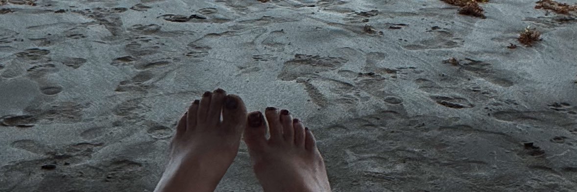 Ana Hermann's banner