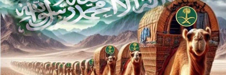 علي السلطاني 🎖️🎟️'s banner