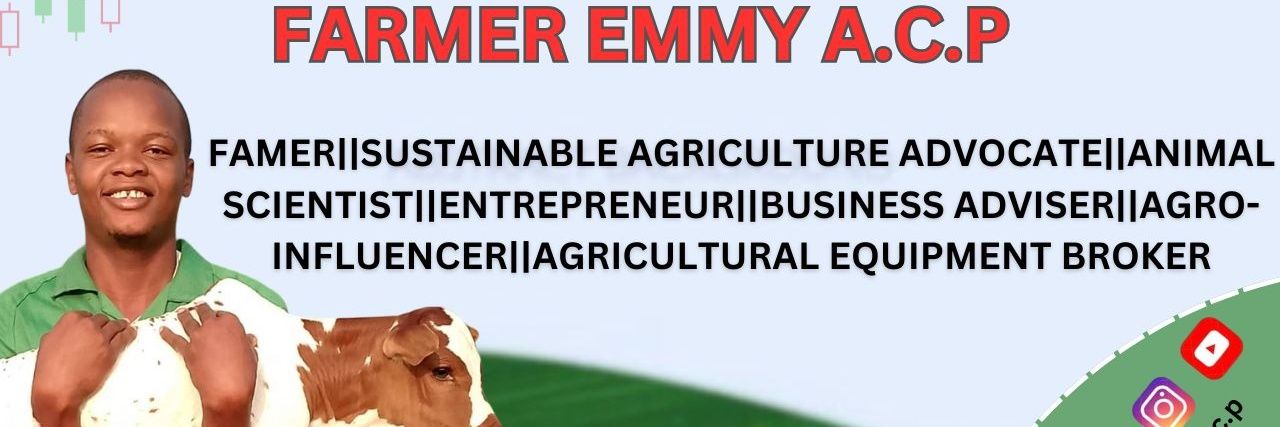 FARMER_EMMY🤠👨‍🌾's banner
